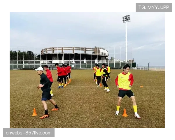 德甲俱乐部开放日活动吸引数万球迷，青训梯队进行攻防演练展示